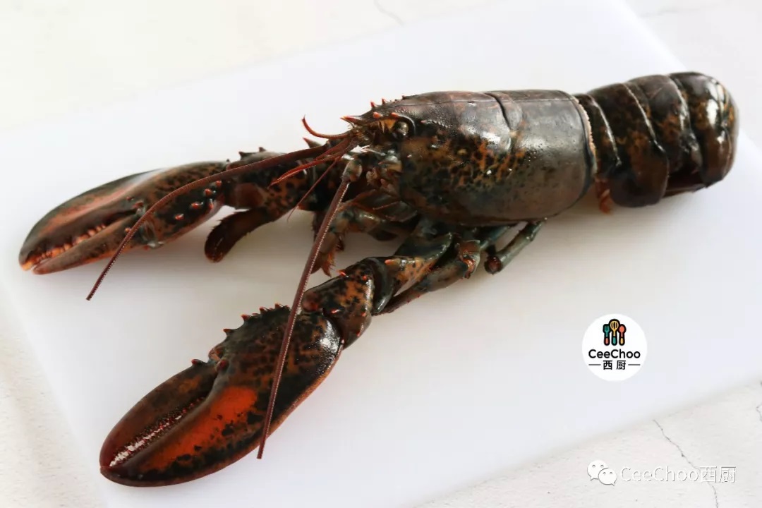 [How to]: Prepare fresh lobster