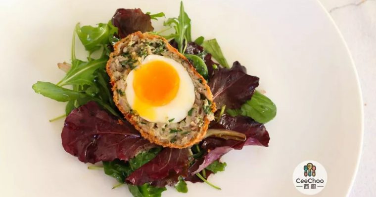 Scotch egg