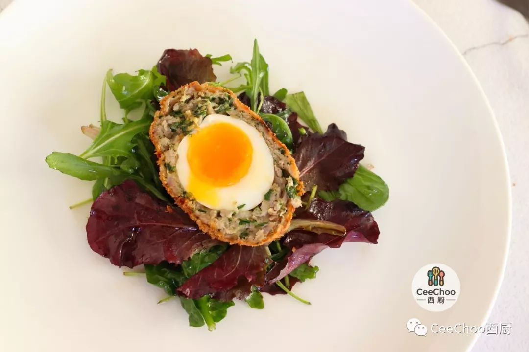 Scotch egg